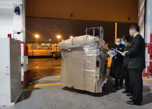 重慶海關(guān)高效護(hù)航 48960個(gè)海淘口罩零延時(shí)快速清關(guān)