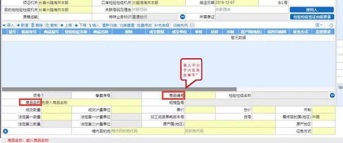 原來，報(bào)關(guān)可以這樣做 國內(nèi)貿(mào)易代理的智慧之道